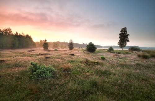 Nationalpark Dwingelderveld