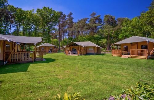 Glamping in holland bei Wildryck
