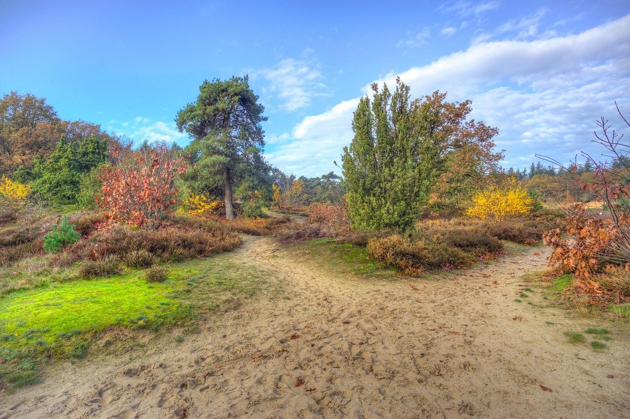 Herbstzauber in Drenthe