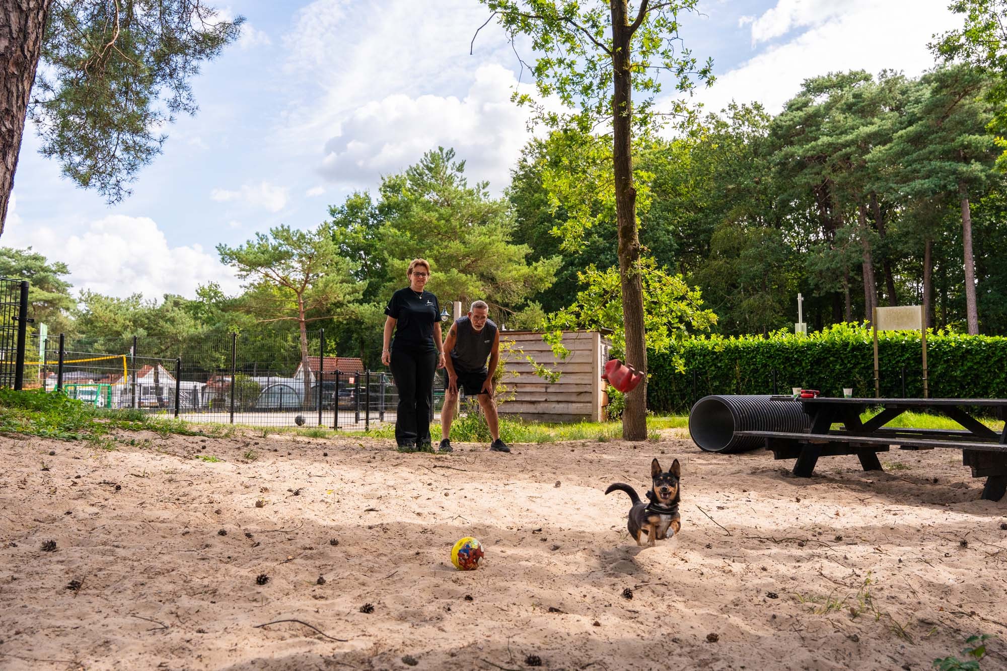 Hundespielplatz