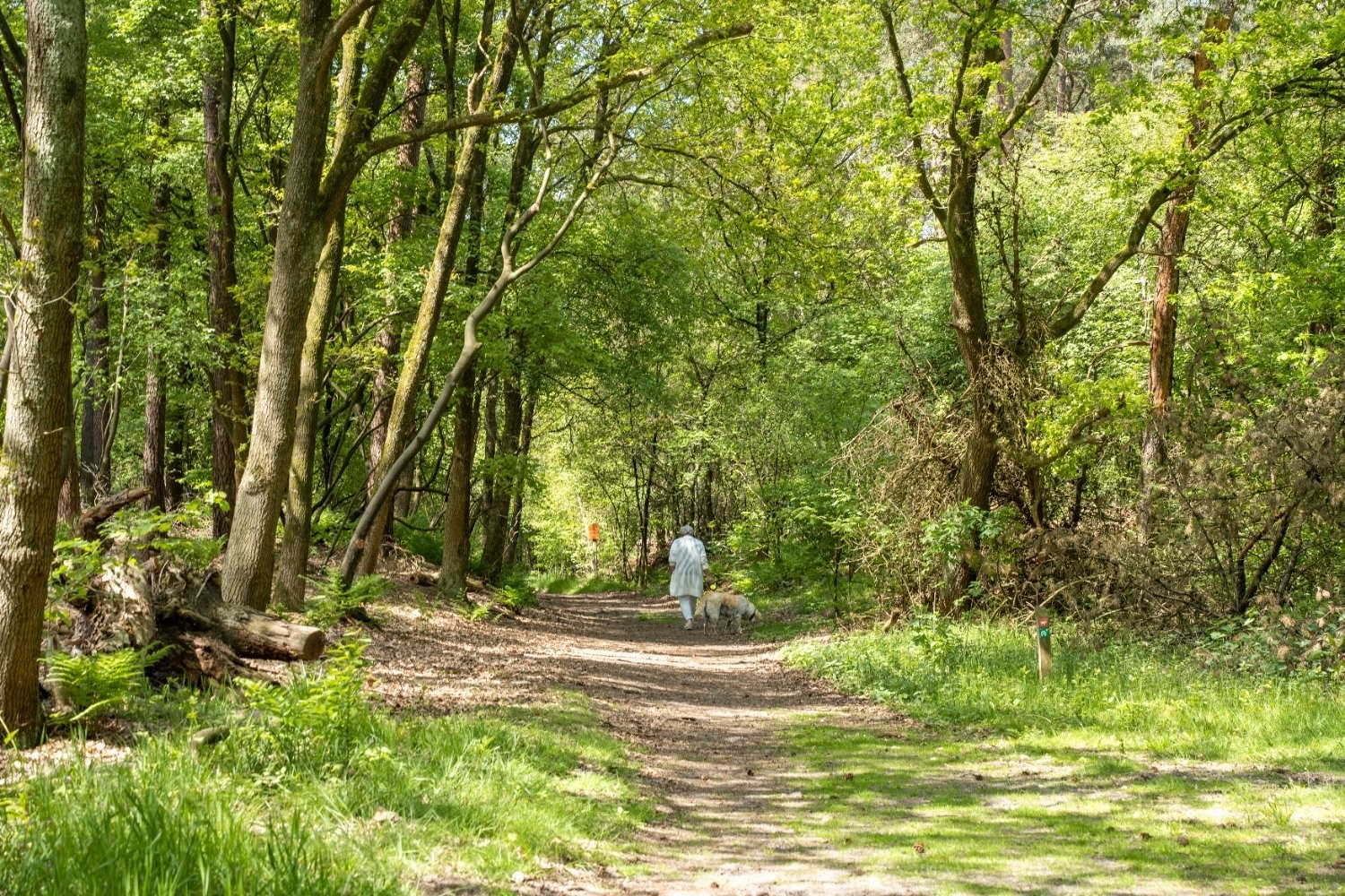 5 Tipps in Drenthe