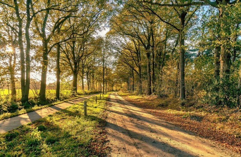 8 Tipps für Ihren Herbsturlaub in Drenthe!